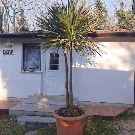 Apartments Rale Umag Exterior foto