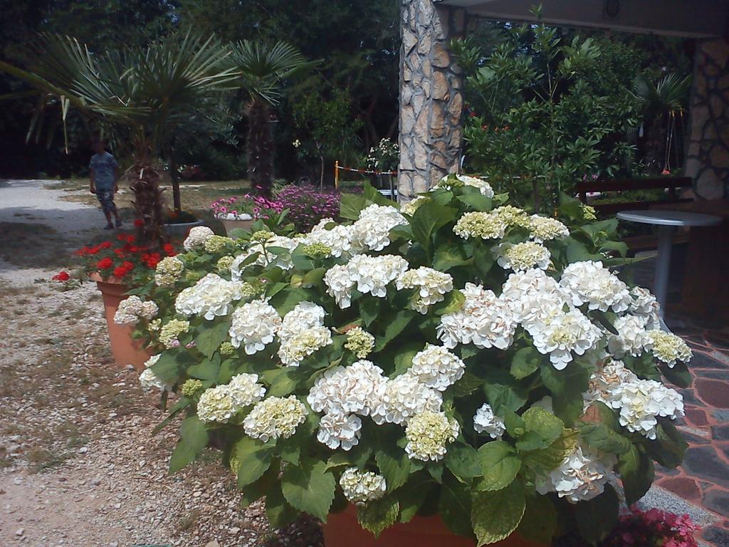 Apartments Rale Umag Exterior foto